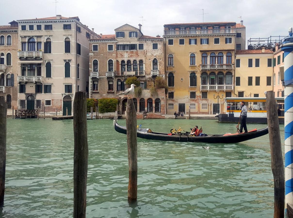 Wellvenice Grand Canal Venise
